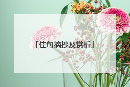 佳句摘抄及赏析