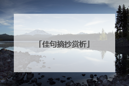 佳句摘抄赏析
