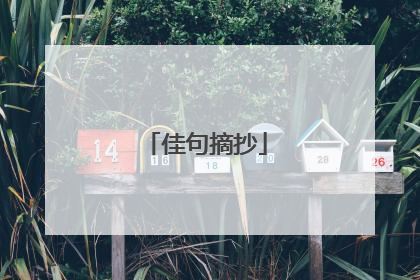 佳句摘抄