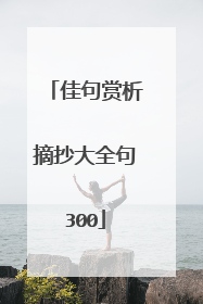 佳句赏析摘抄大全句300