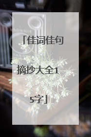 佳词佳句摘抄大全15字