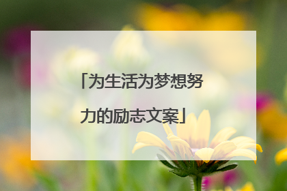 为生活为梦想努力的励志文案