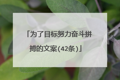 为了目标努力奋斗拼搏的文案(42条)