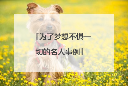 为了梦想不惧一切的名人事例