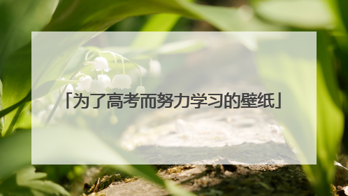 为了高考而努力学习的壁纸
