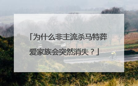为什么非主流杀马特葬爱家族会突然消失？