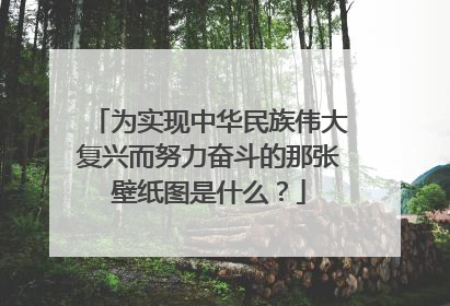 为实现中华民族伟大复兴而努力奋斗的那张壁纸图是什么?