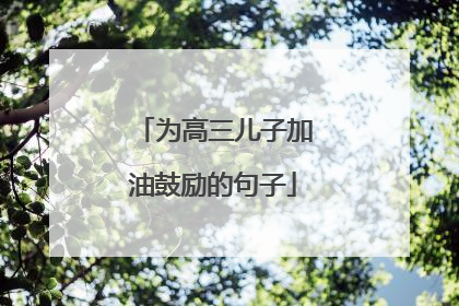 为高三儿子加油鼓励的句子