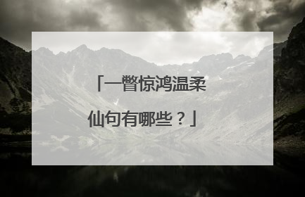 一瞥惊鸿温柔仙句有哪些？