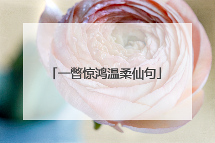 一瞥惊鸿温柔仙句