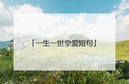 一生一世挚爱短句