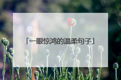 一眼惊鸿的温柔句子