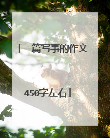 一篇写事的作文450字左右