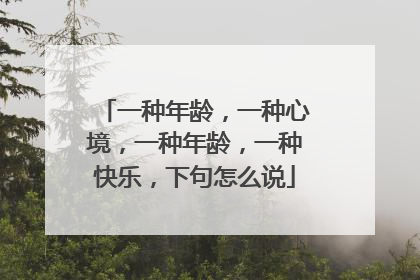 一种年龄，一种心境，一种年龄，一种快乐，下句怎么说