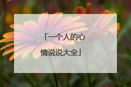 一个人的心情说说大全