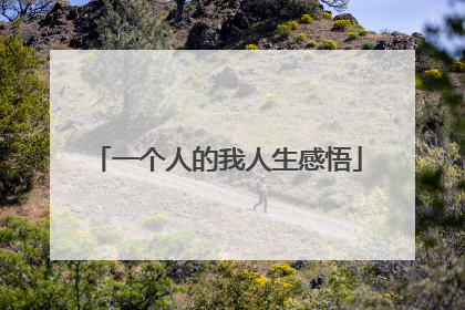 一个人的我人生感悟