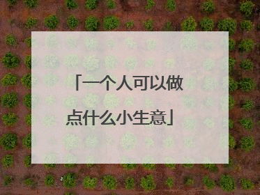 一个人可以做点什么小生意