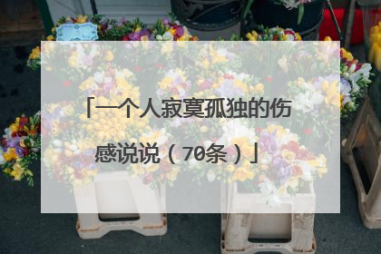 一个人寂寞孤独的伤感说说(70条)