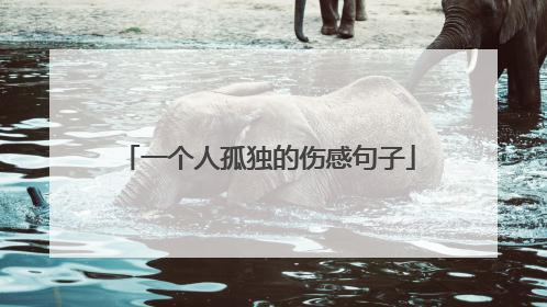 一个人孤独的伤感句子