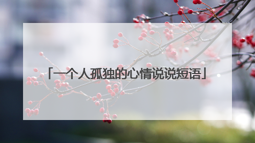 一个人孤独的心情说说短语