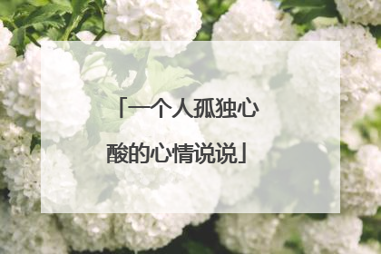 一个人孤独心酸的心情说说