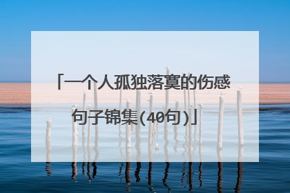 一个人孤独落寞的伤感句子锦集(40句)