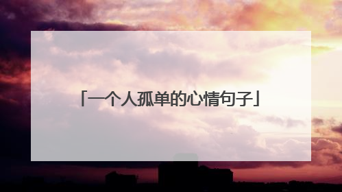 一个人孤单的心情句子