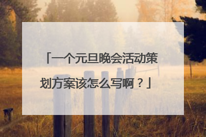 一个元旦晚会活动策划方案该怎么写啊?