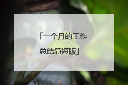 一个月的工作总结简短版