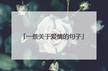 一些关于爱情的句子
