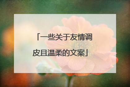 一些关于友情调皮且温柔的文案