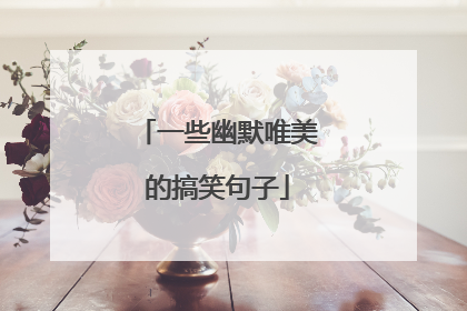 一些幽默唯美的搞笑句子
