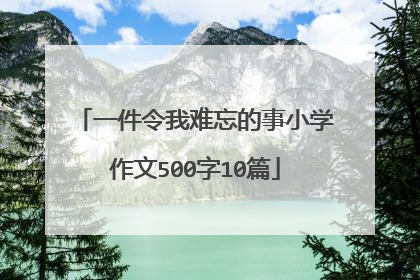 一件令我难忘的事小学作文500字10篇