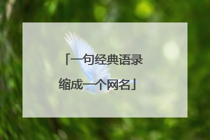 一句经典语录缩成一个网名