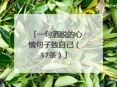 一句洒脱的心情句子致自己（57条）
