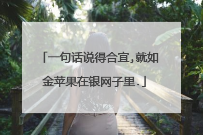一句话说得合宜,就如金苹果在银网子里.