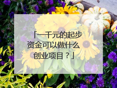 一千元的起步资金可以做什么创业项目?