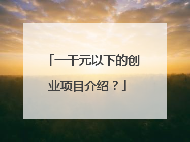 一千元以下的创业项目介绍?