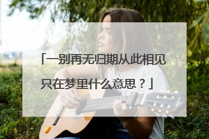 一别再无归期从此相见只在梦里什么意思？