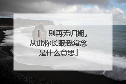 一别再无归期,从此你长眠我常念是什么意思