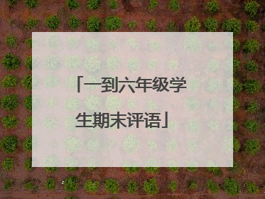 一到六年级学生期末评语