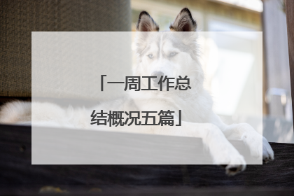 一周工作总结概况五篇