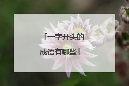一字开头的成语有哪些