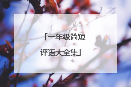 一年级简短评语大全集
