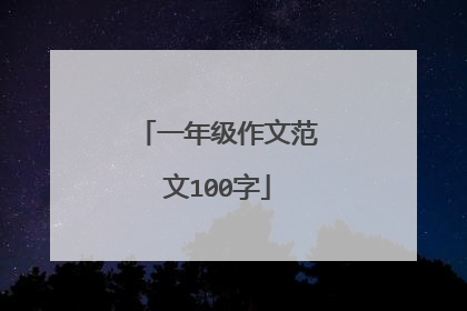 一年级作文范文100字