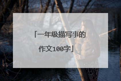 一年级描写事的作文100字
