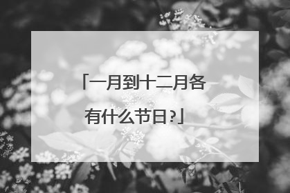 一月到十二月各有什么节日?