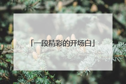 一段精彩的开场白