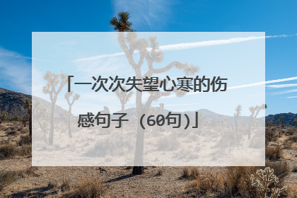 一次次失望心寒的伤感句子 (60句)