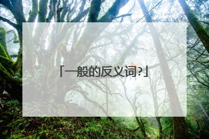 一般的反义词?